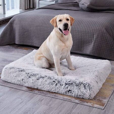 Daymira Dog & Cat Sofa Bed Orthopedic Pet Blanket Soft