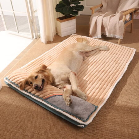 dog bed 3.2