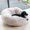 Daymira Comfortable Beds For Dog and Cat, Donut Style