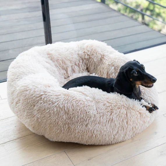 Daymira Comfortable Beds For Dog and Cat, Donut Style