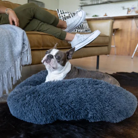 grey dog bed