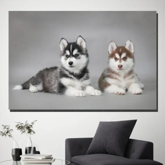 Two Little Huskies Wall Art Canvas - Daymira store