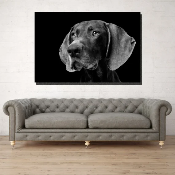 German Shorthaired Pointer Wall Art Canvas – Daymira store – Daymira ...