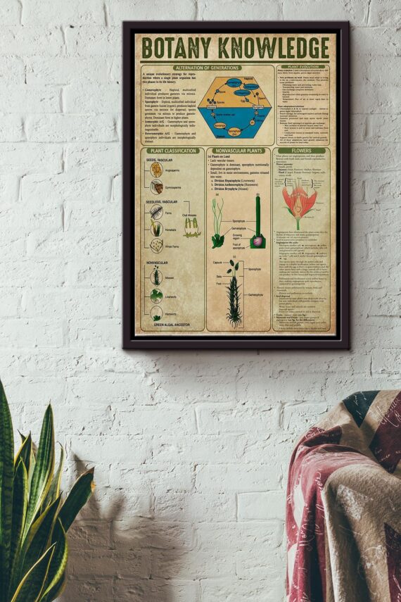 Botany Knowledge Things You Need To Know About Botany Poster Poster