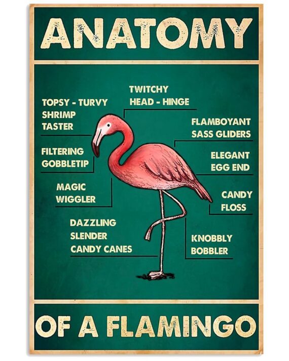 Flamingo Anatomy Poster