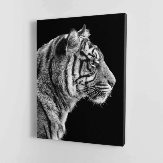 Black And White Sumatran Tiger Wall Art Motivational Modern Art Canvas ...