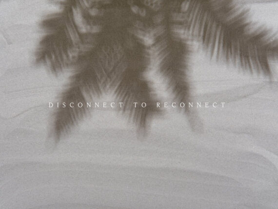 Disconnect To Reconnect Canvas/Poster Wall Art Decor