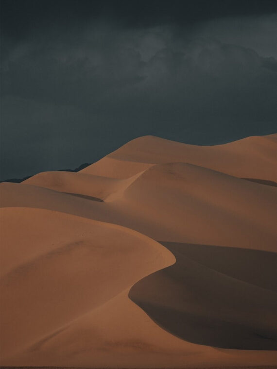 Dune Gloom Canvas/Poster Wall Art Decor