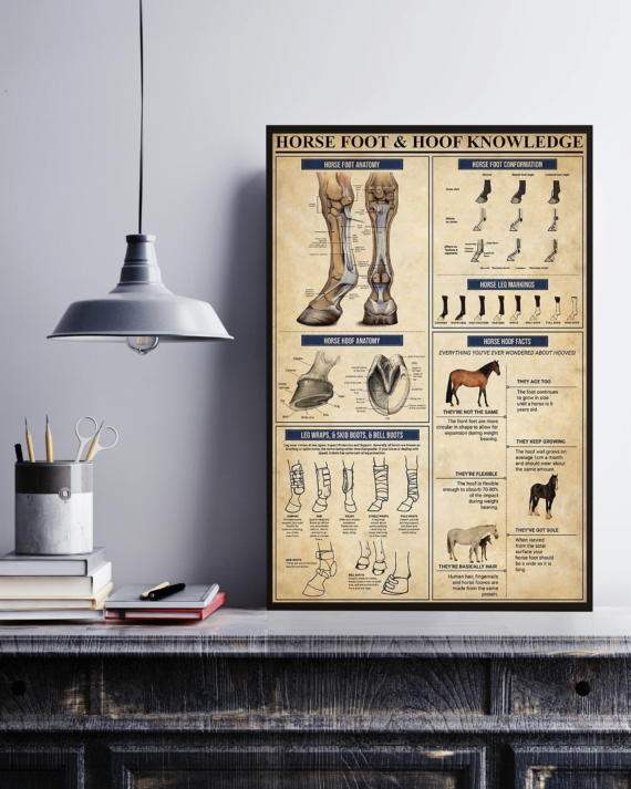 Horse Foot And Hoof Knowledge Canvas