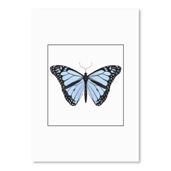 Blue Butterfly by NUADA