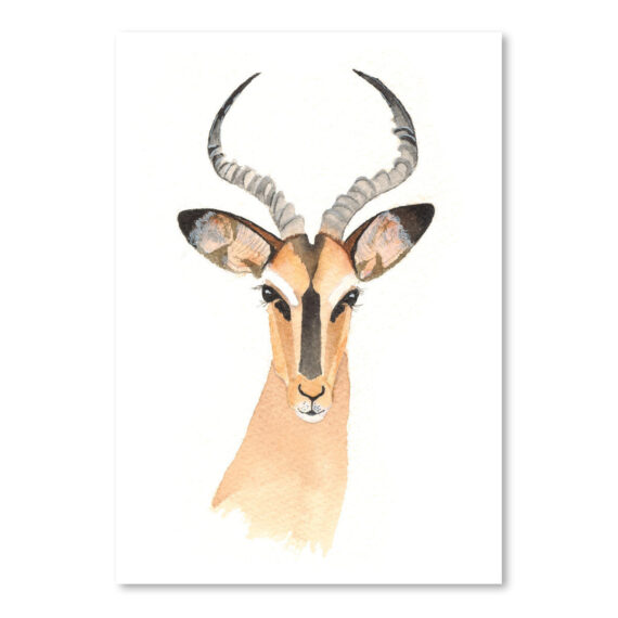 Impala by Cami Monet