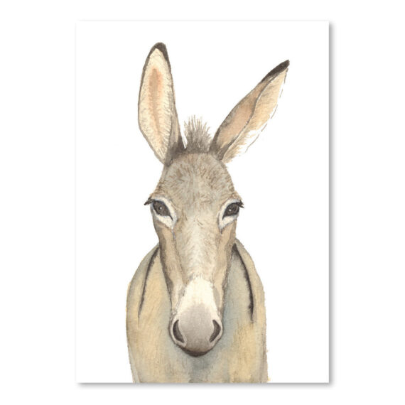 Donkey by Cami Monet