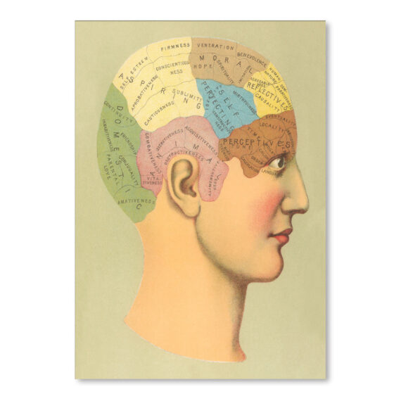 Phrenology Chart by Found Image Press Canvas/Poster Wall Art Decor