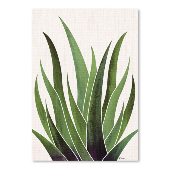 Vintage Agave by Modern Tropical