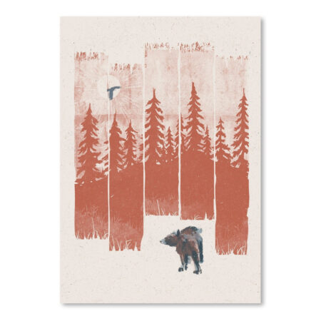 A Bear In The Wild by NDTank Canvas/Poster Wall Art Decor