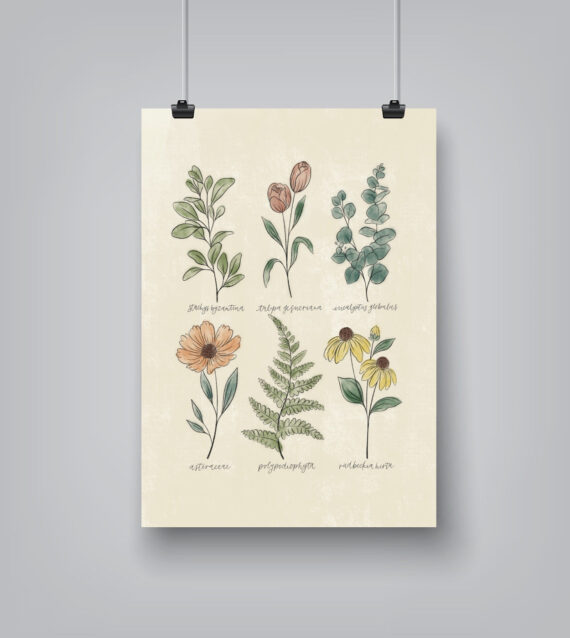 Botanicals Vintage Background by Elyse Burns - Poster
