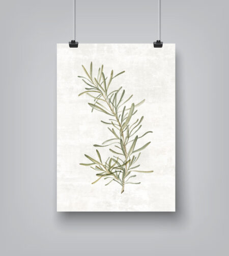 A Clip Of Rosemary By PI Creative - Canvas/Poster Wall Art Decor