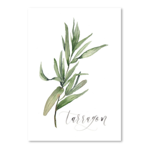 Tarragon by Cami Monet