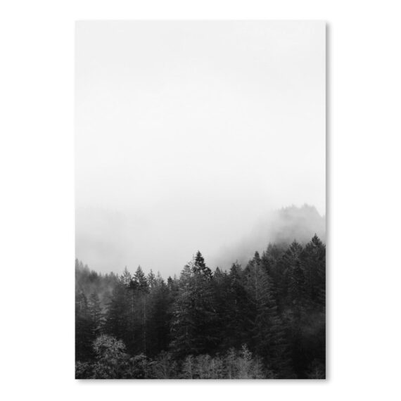 Woodland B&W Landscape Poster by Tanya Shumkina