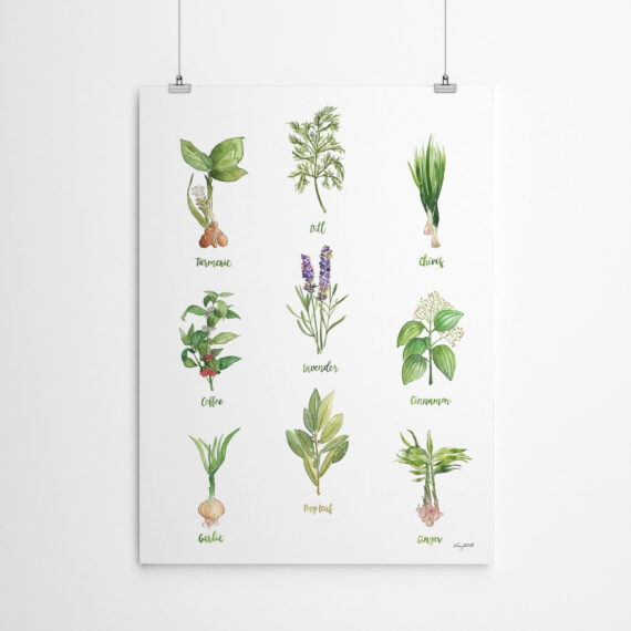 Herb Chart 2 by Kelsey Mcnatt Canvas/Poster Wall Art Decor Daymira