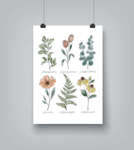 Botanical Chart by Elyse Burns - Poster