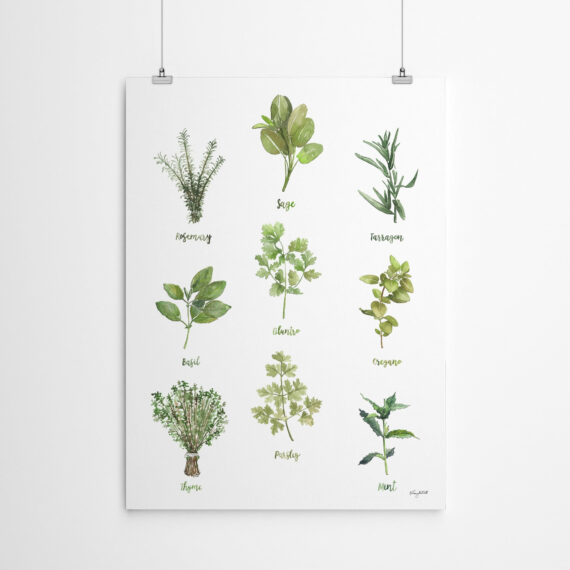 Herb Chart 1 by Kelsey Mcnatt – Canvas/Poster Wall Art Decor – Daymira ...