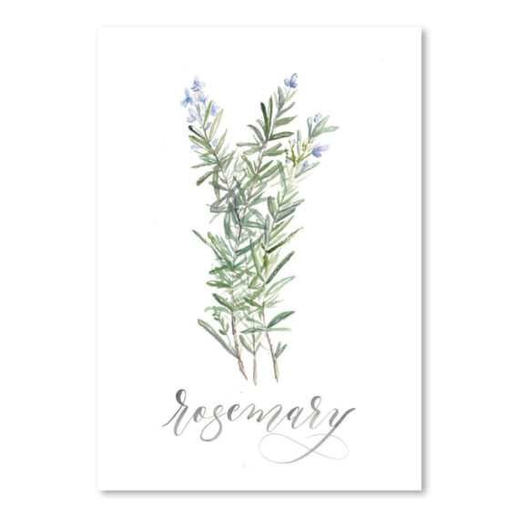 Rosemary by Cami Monet