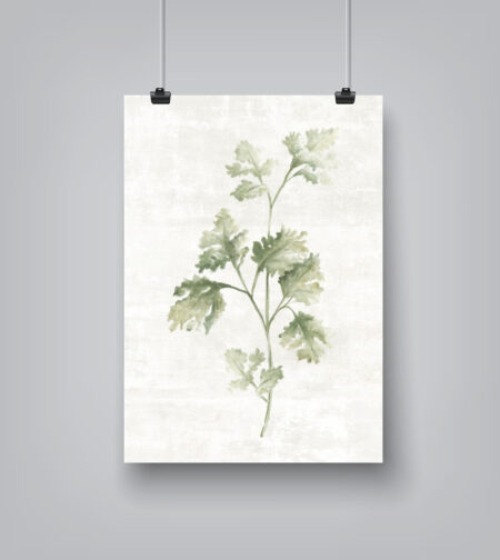 A Clip Of Parsley By PI Creative - Canvas/Poster Wall Art Decor