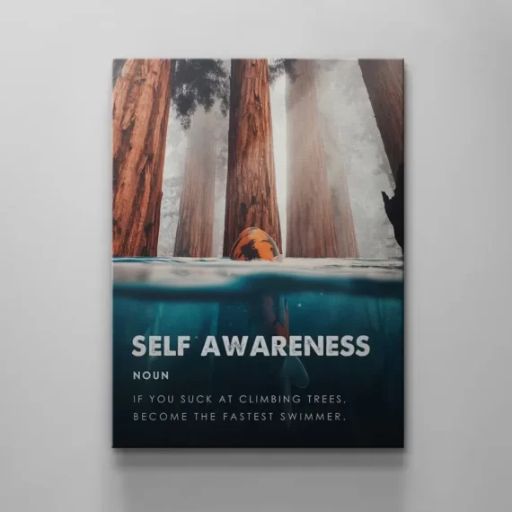 Self Awareness Canvas Wall Art Decor