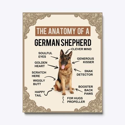 The Anatomy Of A German Shepherd Poster Canvas Gift For Dog Lovers