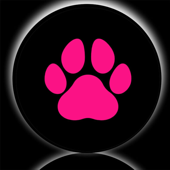 Paws Pink Spare Tire Cover Jeep Tire Covers Daymira™ Wear For